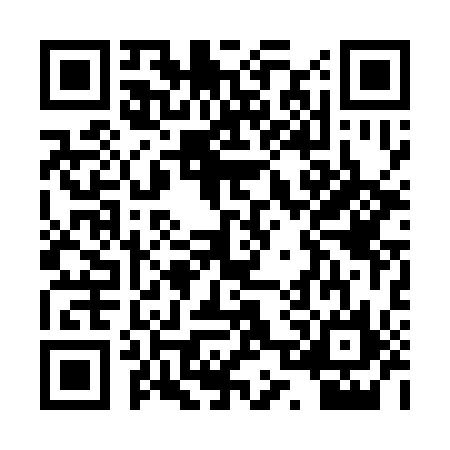 QR code for PPP3160