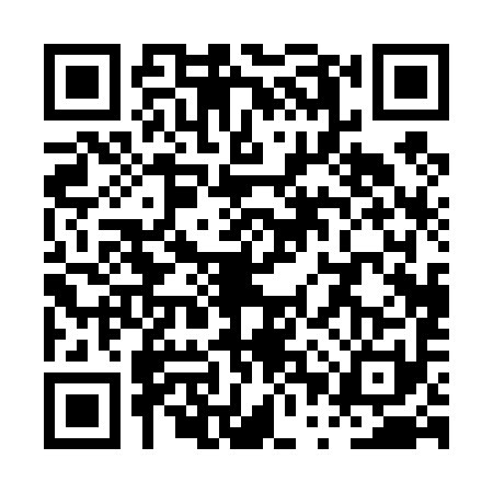 QR code for PPP4916