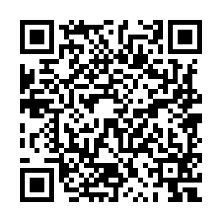 QR code for PPP9965