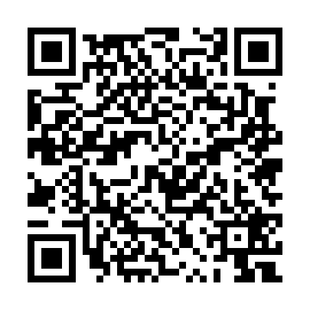 QR code for PPU0295