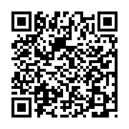QR code for PPV9711