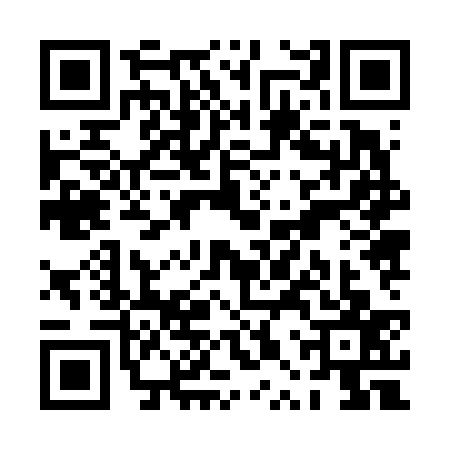 QR code for PPZ6377