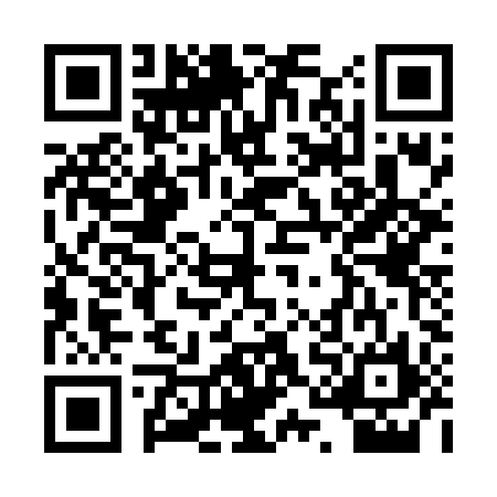 QR code for PQG6965