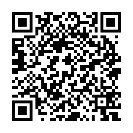 QR code for PRI2597