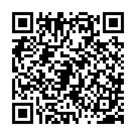 QR code for PSX2833