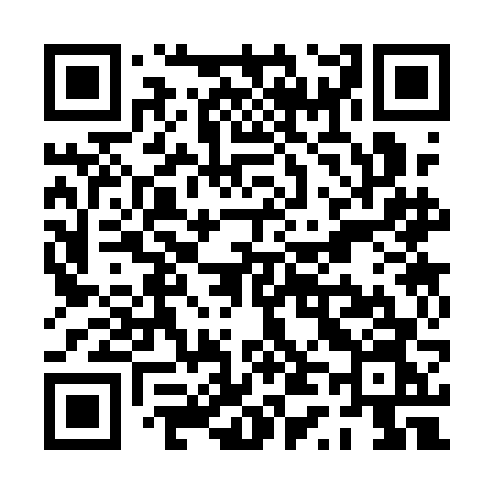 QR code for PT31FN