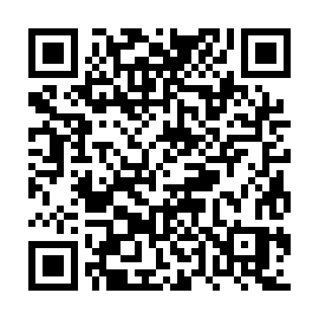 QR code for PT31HS