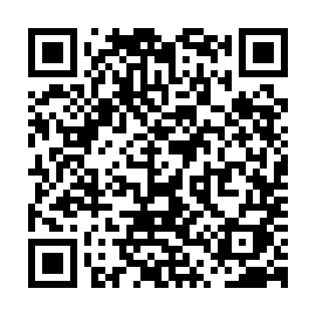 QR code for PT31MI