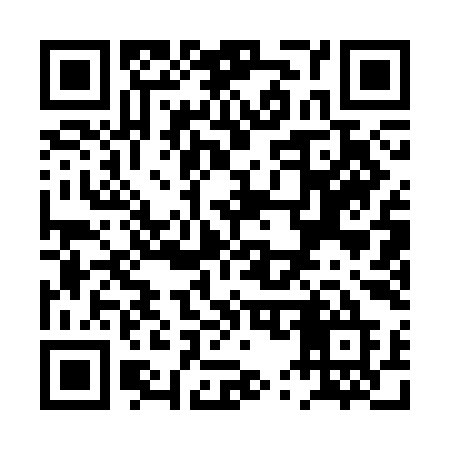 QR code for PU13IE