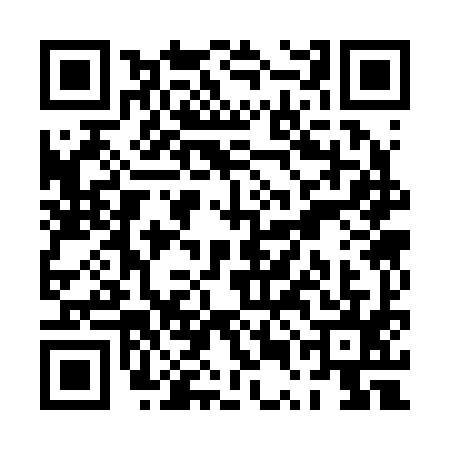 QR code for PUC2951