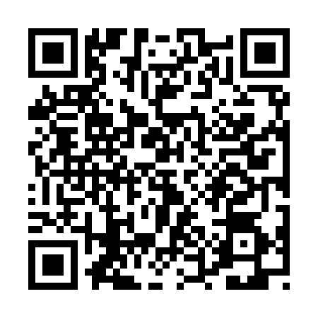 QR code for PUN9742