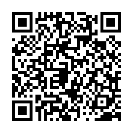 QR code for PUZ0497