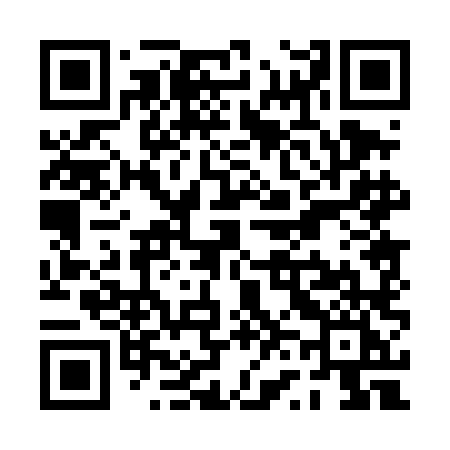 QR code for PV04LI