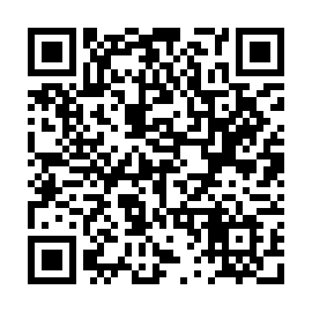QR code for PV29FL