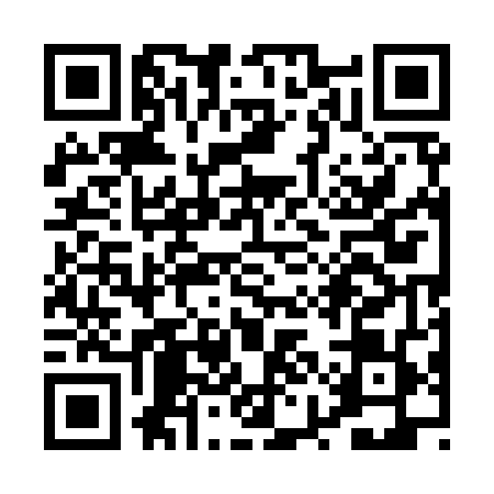 QR code for PYE9495