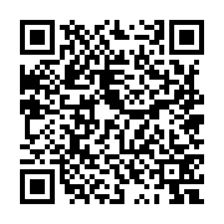 QR code for PYE9733