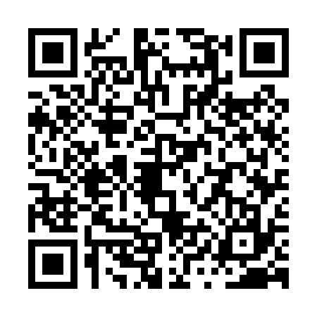 QR code for PYG0379