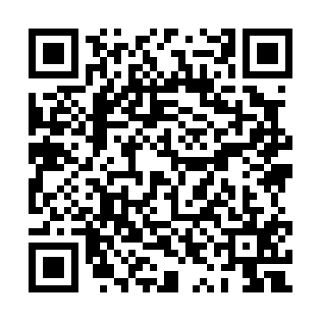 QR code for PYI0153