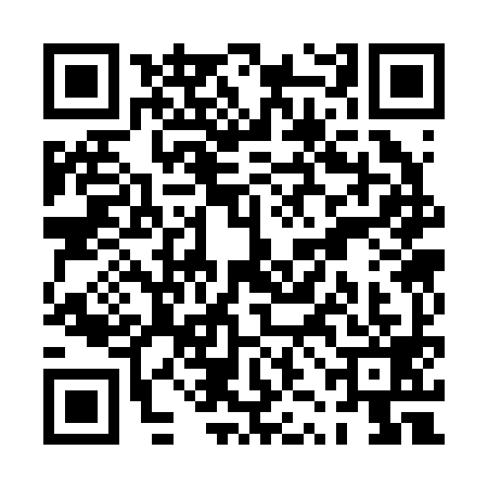 QR code for PZC2993