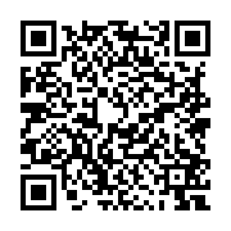 QR code for PZM9038