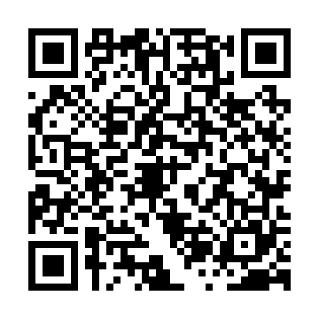 QR code for PZN2653