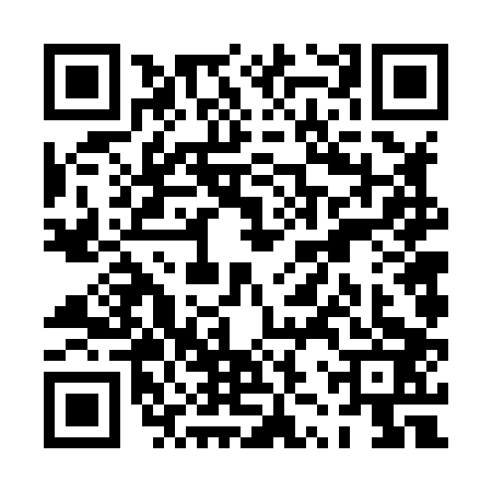 QR code for PZV8038