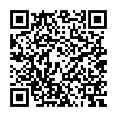 QR code for PZZ5511