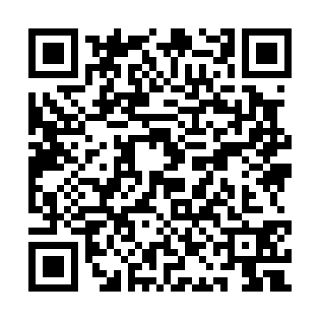 QR code for QAI0307