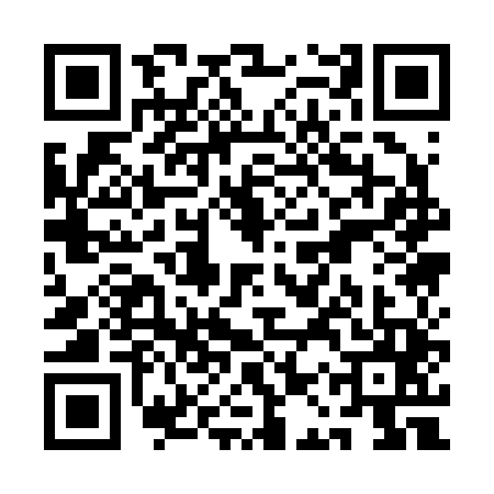 QR code for QAQ2450