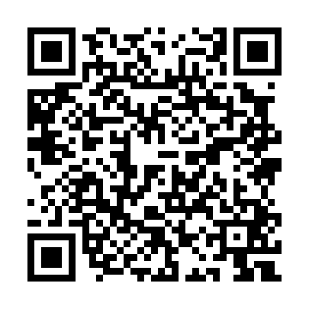 QR code for QAY0413