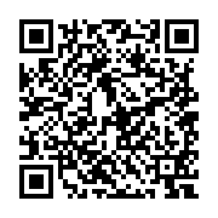 QR code for QDB9919