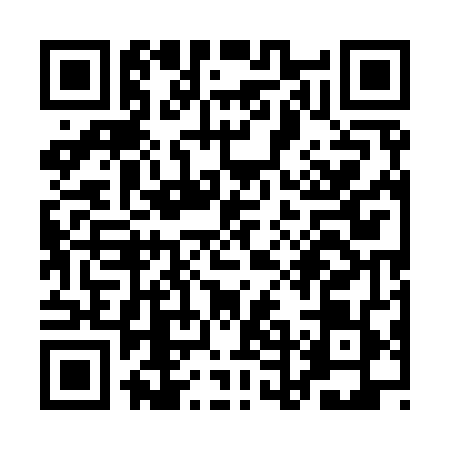 QR code for QDE9498