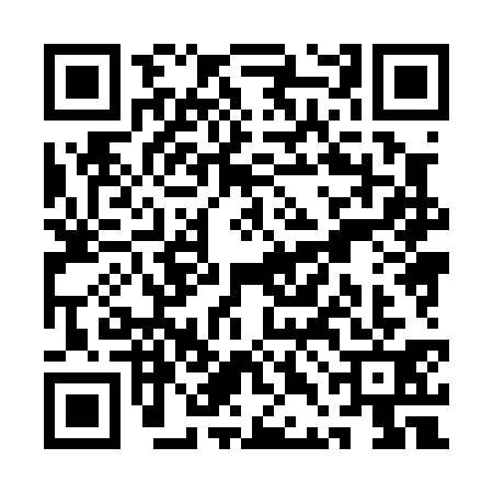QR code for QDH0311