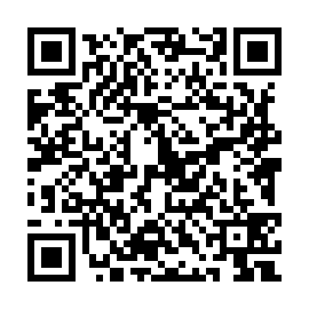 QR code for QDL9396