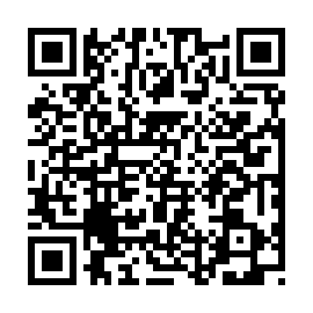 QR code for QDR9630