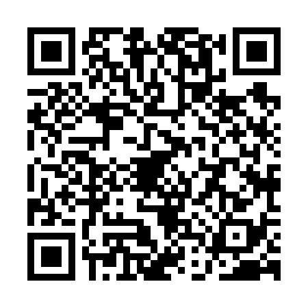 QR code for QDX6383