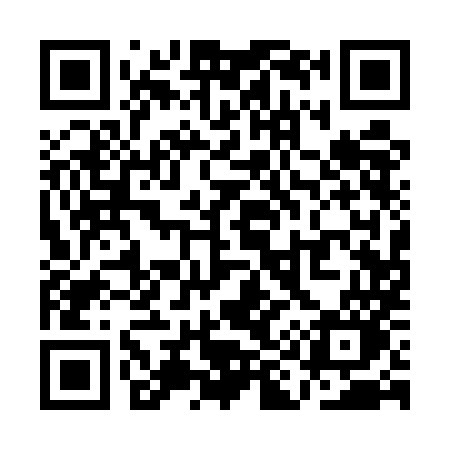 QR code for QI15MO