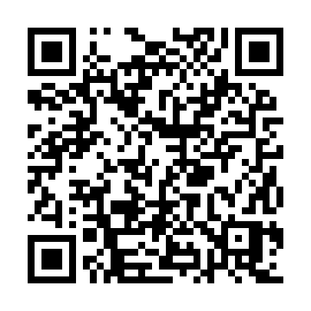 QR code for QI29XR
