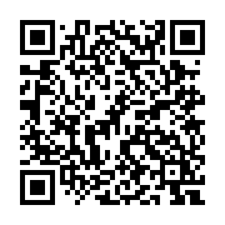 QR code for QI30HZ