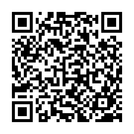 QR code for QI91QN