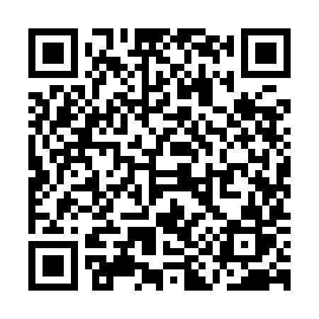 QR code for QI99IR