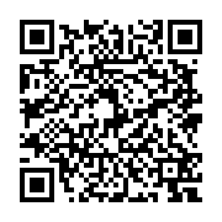 QR code for QII4229