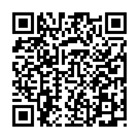 QR code for QLE2295