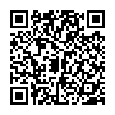 QR code for QLI7389