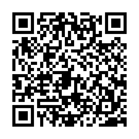QR code for QND0369