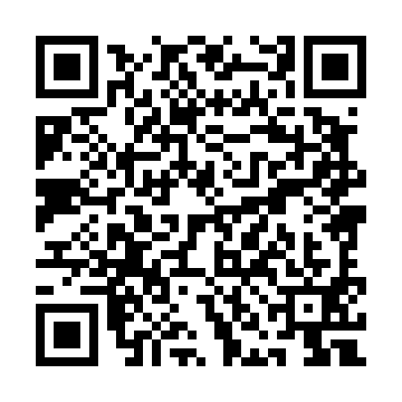QR code for QNH4919