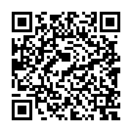 QR code for QPL0029