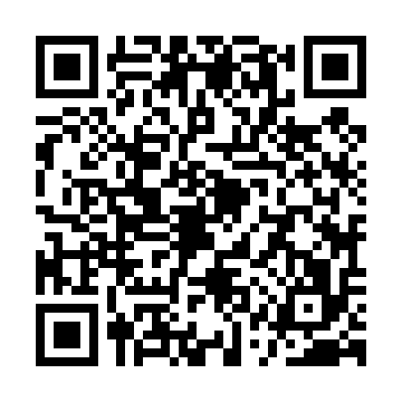 QR code for QQZ4163