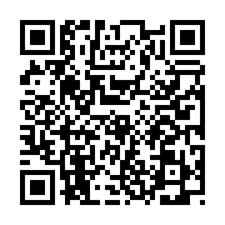 QR code for QRN0994