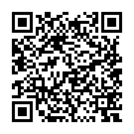 QR code for QSR9596
